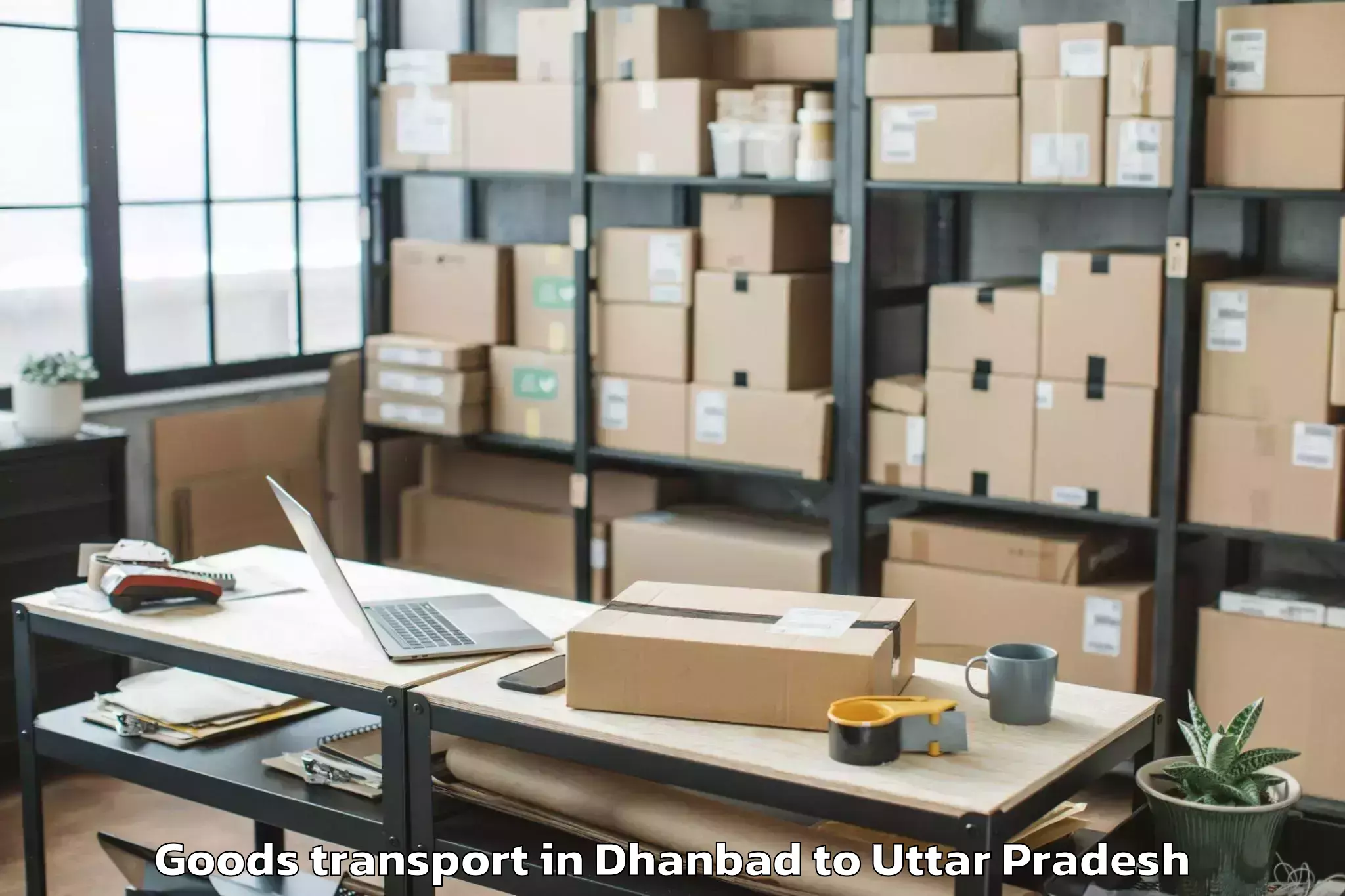 Top Dhanbad to Hathras Goods Transport Available